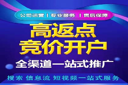 SEM服务在旅游行业的应用案例